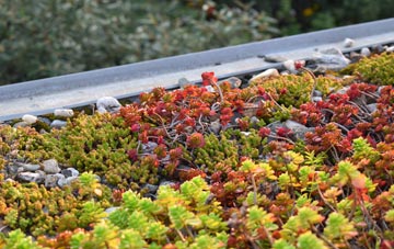 the cost of Prees Higher Heath green roof installation