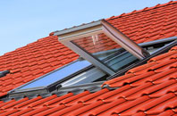 Prees Higher Heath roof window